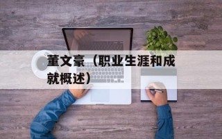 董文豪（职业生涯和成就概述）