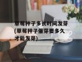 草莓种子多长时间发芽(草莓种子催芽要多久才能发芽)