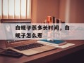 白蚬子蒸多长时间，白蚬子怎么煮
