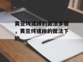 黄豆炖猪蹄的做法步骤，黄豆炖猪蹄的做法下奶