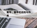 黄芩，黄芩的功效与作用