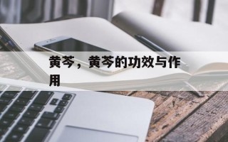 黄芩，黄芩的功效与作用