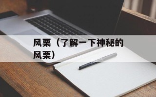 风栗（了解一下神秘的风栗）