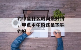 钓甲鱼什么时间最好钓，甲鱼中午钓还是下午钓好