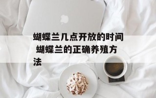 蝴蝶兰几点开放的时间 蝴蝶兰的正确养殖方法