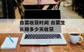 白菜收获时间 白菜生长期多少天收获