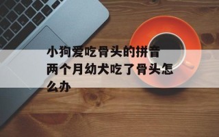 小狗爱吃骨头的拼音 两个月幼犬吃了骨头怎么办