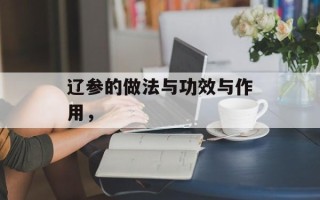 辽参的做法与功效与作用，
