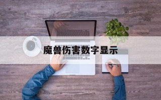 魔兽伤害数字显示