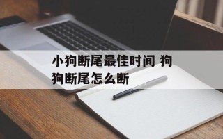 小狗断尾最佳时间 狗狗断尾怎么断