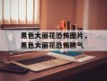 黑色大丽花恐怖图片，黑色大丽花恐怖脾气