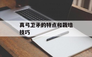 真弓卫矛的特点和栽培技巧