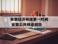 安徽经济频道第一时间 安徽公共频道回放