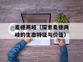 麦穗两岐（探索麦穗两岐的生态特征与价值）