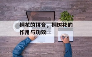 桐花的拼音，桐树花的作用与功效