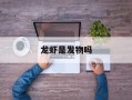 龙虾是发物吗