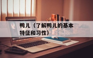 鸭儿（了解鸭儿的基本特征和习性）