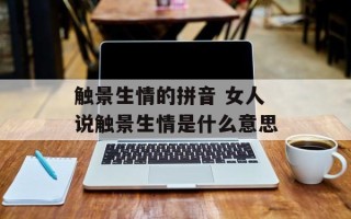 触景生情的拼音 女人说触景生情是什么意思