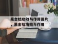 黑金桔功效与作用图片，黑金桔功效与作用