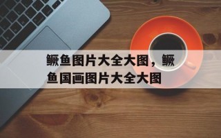 鳜鱼图片大全大图，鳜鱼国画图片大全大图