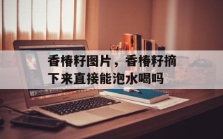 香椿籽图片，香椿籽摘下来直接能泡水喝吗