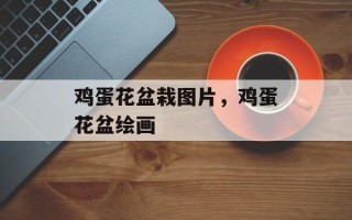 鸡蛋花盆栽图片，鸡蛋花盆绘画