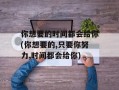 你想要的时间都会给你(你想要的,只要你努力,时间都会给你)