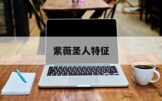 紫薇圣人特征