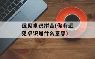 远见卓识拼音(你有远见卓识是什么意思)