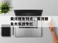 黄河鲤鱼特点，黄河鲤鱼大乐透专栏
