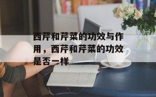 西芹和芹菜的功效与作用，西芹和芹菜的功效是否一样