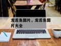 龙舌鱼图片，龙舌鱼图片大全