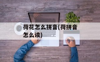 荷花怎么拼音(荷拼音怎么读)