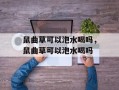 鼠曲草可以泡水喝吗，鼠曲草可以泡水喝吗