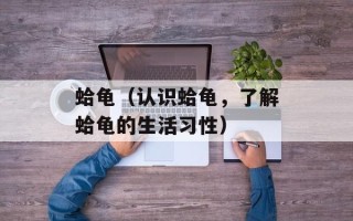 蛤龟（认识蛤龟，了解蛤龟的生活习性）