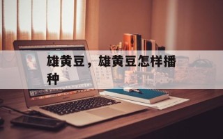 雄黄豆，雄黄豆怎样播种
