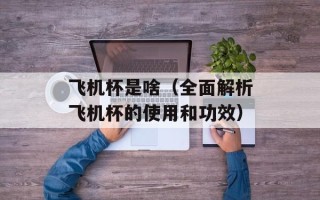 飞机杯是啥（全面解析飞机杯的使用和功效）