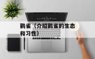 鹳雀（介绍鹳雀的生态和习性）