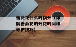 蔷薇花什么时候开（详解蔷薇花的开花时间和养护技巧）