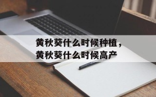 黄秋葵什么时候种植，黄秋葵什么时候高产