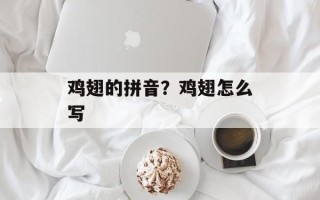 鸡翅的拼音？鸡翅怎么写