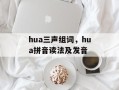 hua三声组词，hua拼音读法及发音