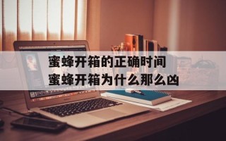 蜜蜂开箱的正确时间 蜜蜂开箱为什么那么凶