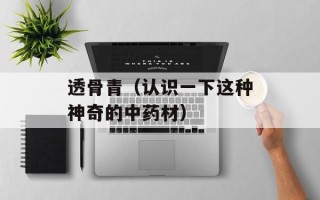 透骨青（认识一下这种神奇的中药材）