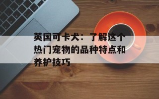 英国可卡犬：了解这个热门宠物的品种特点和养护技巧