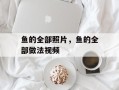 鱼的全部照片，鱼的全部做法视频
