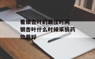 看银杏叶的最佳时间 银杏叶什么时候采摘药效最好