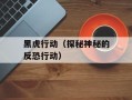 黑虎行动（探秘神秘的反恐行动）