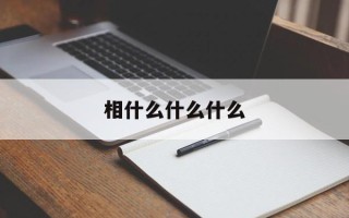 相什么什么什么