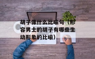 胡子像什么比喻句（形容男士的胡子有哪些生动形象的比喻）